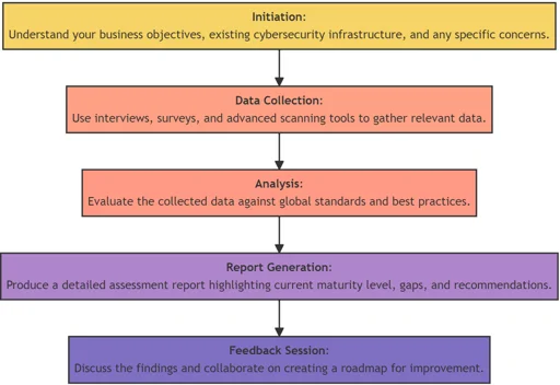 Cyber Maturity Assessment